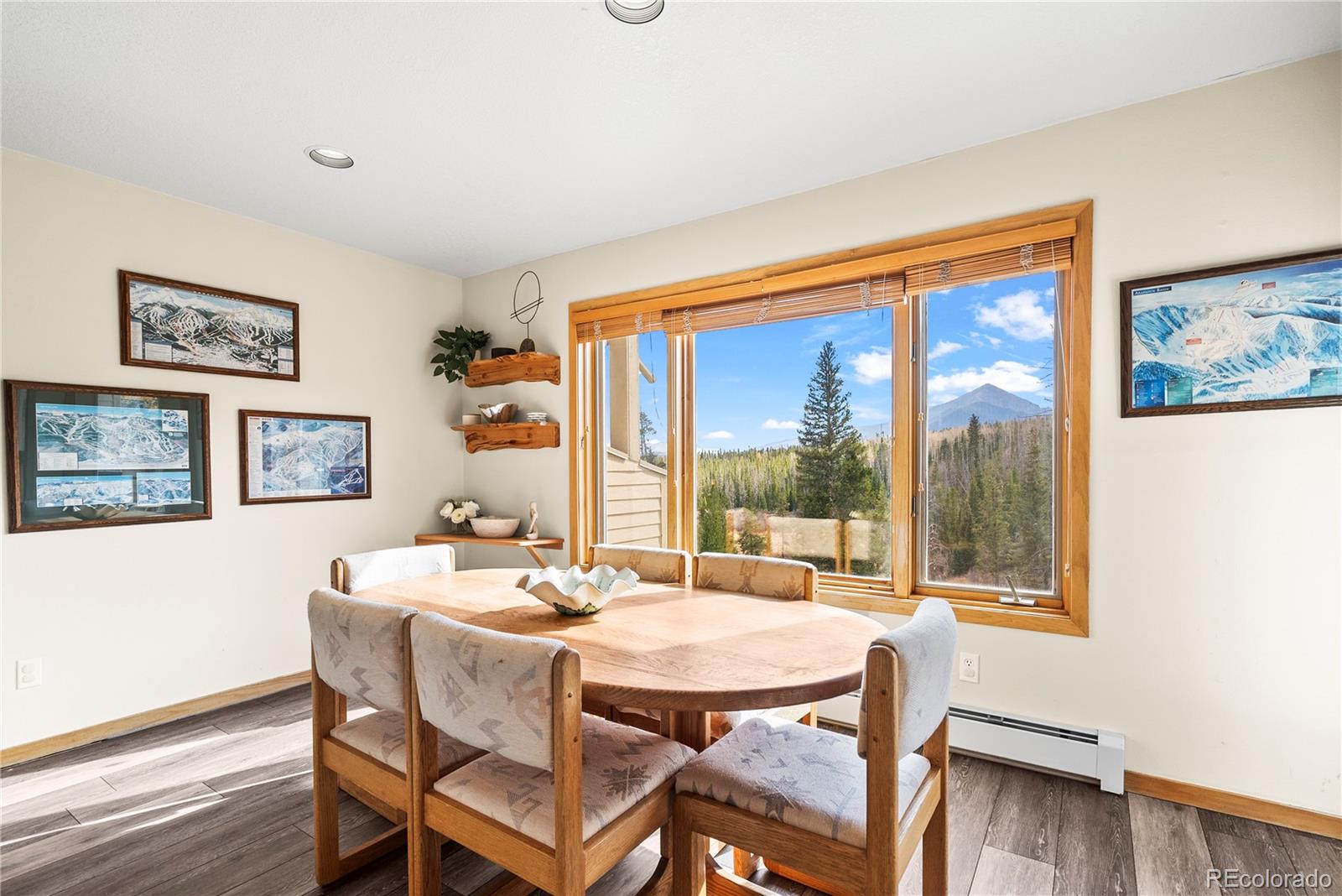 MLS Image #10 for 95200  ryan gulch road,silverthorne, Colorado