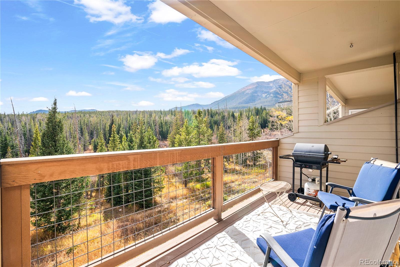 MLS Image #2 for 95200  ryan gulch road,silverthorne, Colorado