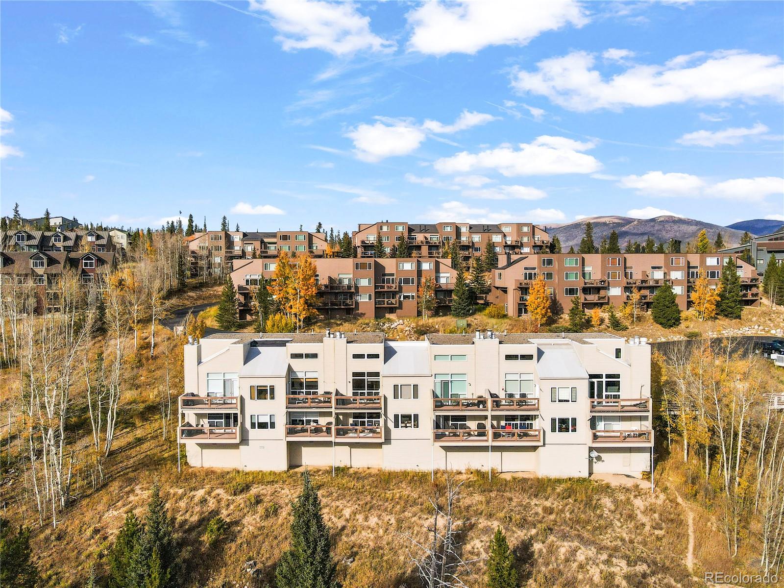 MLS Image #4 for 95200  ryan gulch road,silverthorne, Colorado