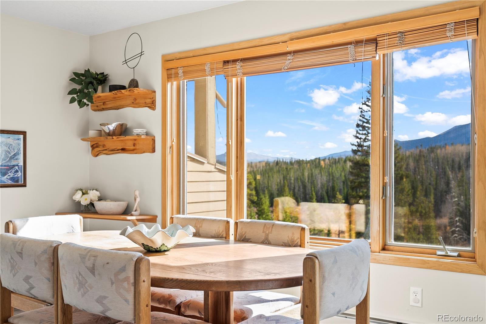 MLS Image #5 for 95200  ryan gulch road,silverthorne, Colorado