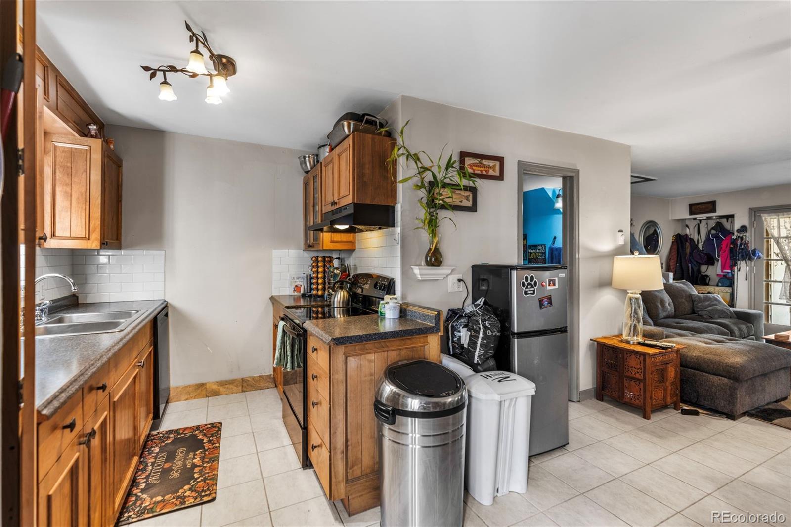 MLS Image #13 for 6966  ryan gulch road,silverthorne, Colorado