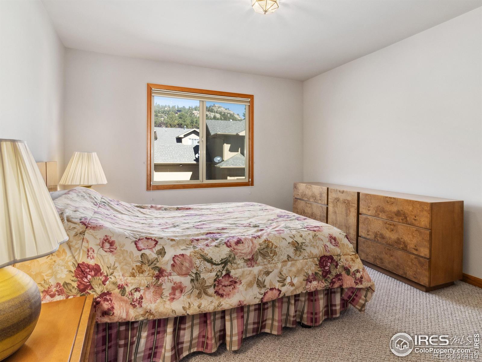 MLS Image #21 for 300  far view drive,estes park, Colorado