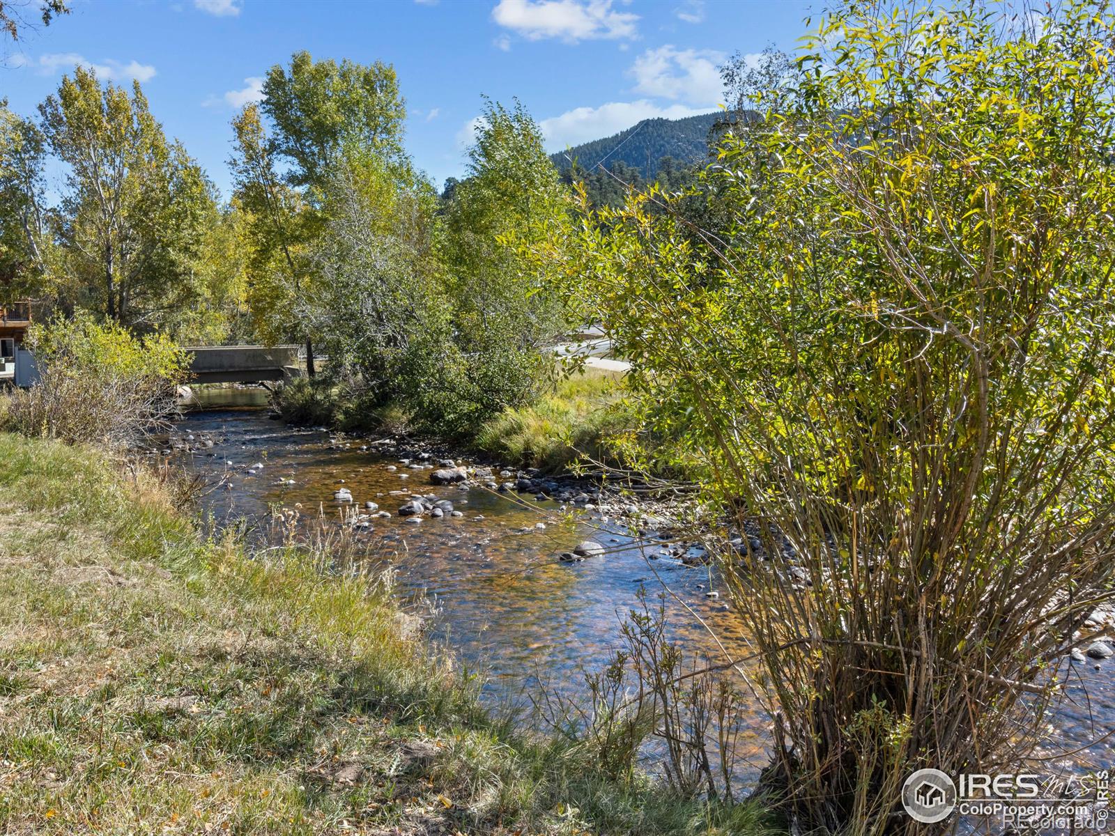 MLS Image #4 for 300  far view drive,estes park, Colorado