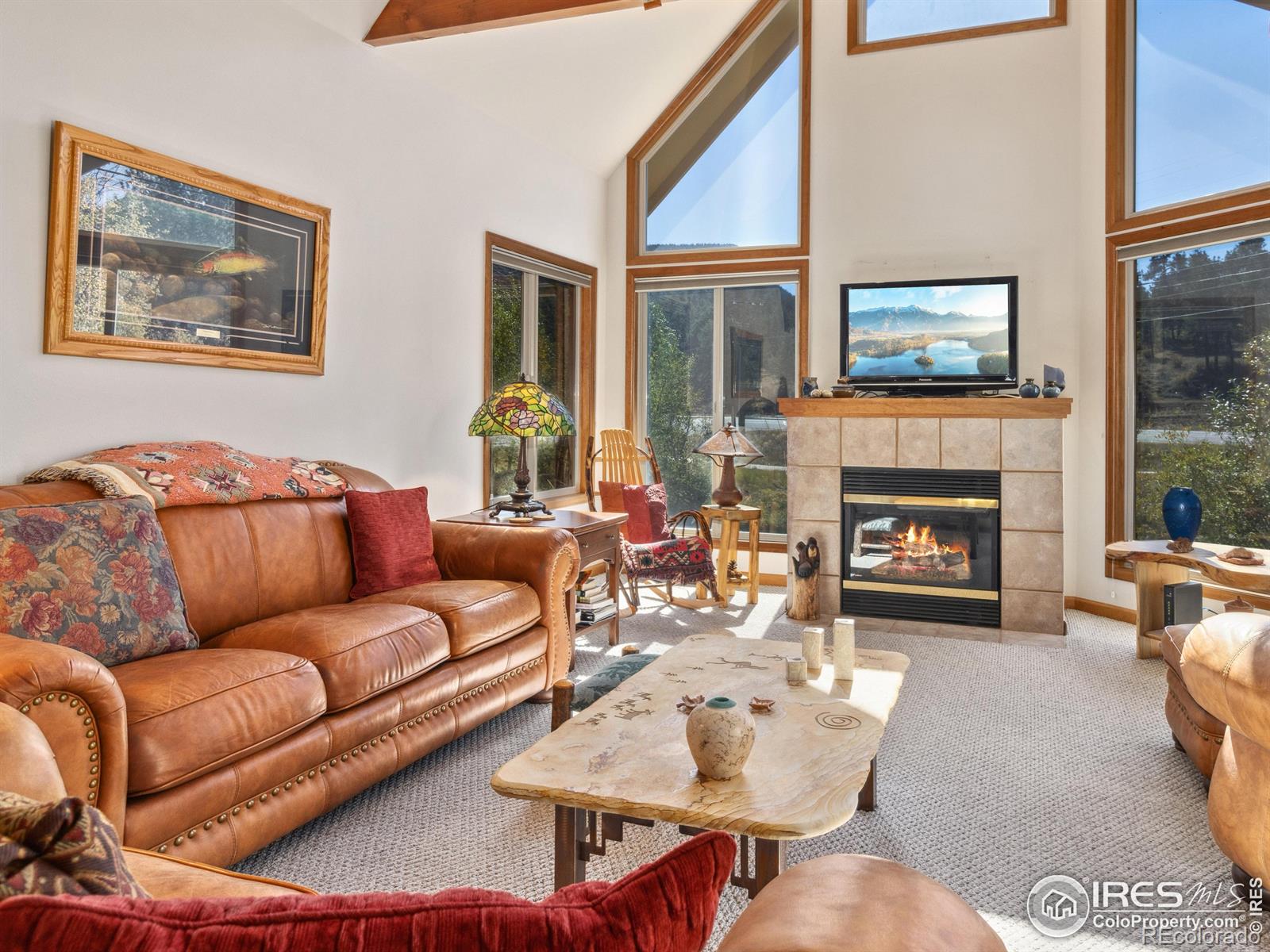 MLS Image #7 for 300  far view drive,estes park, Colorado