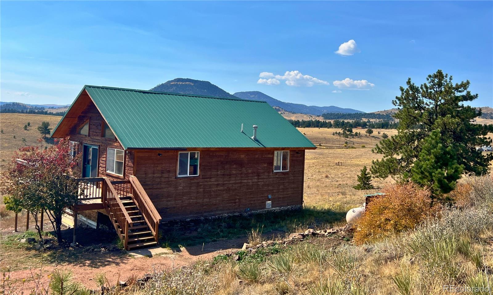 MLS Image #1 for 180 e cobb lane,guffey, Colorado