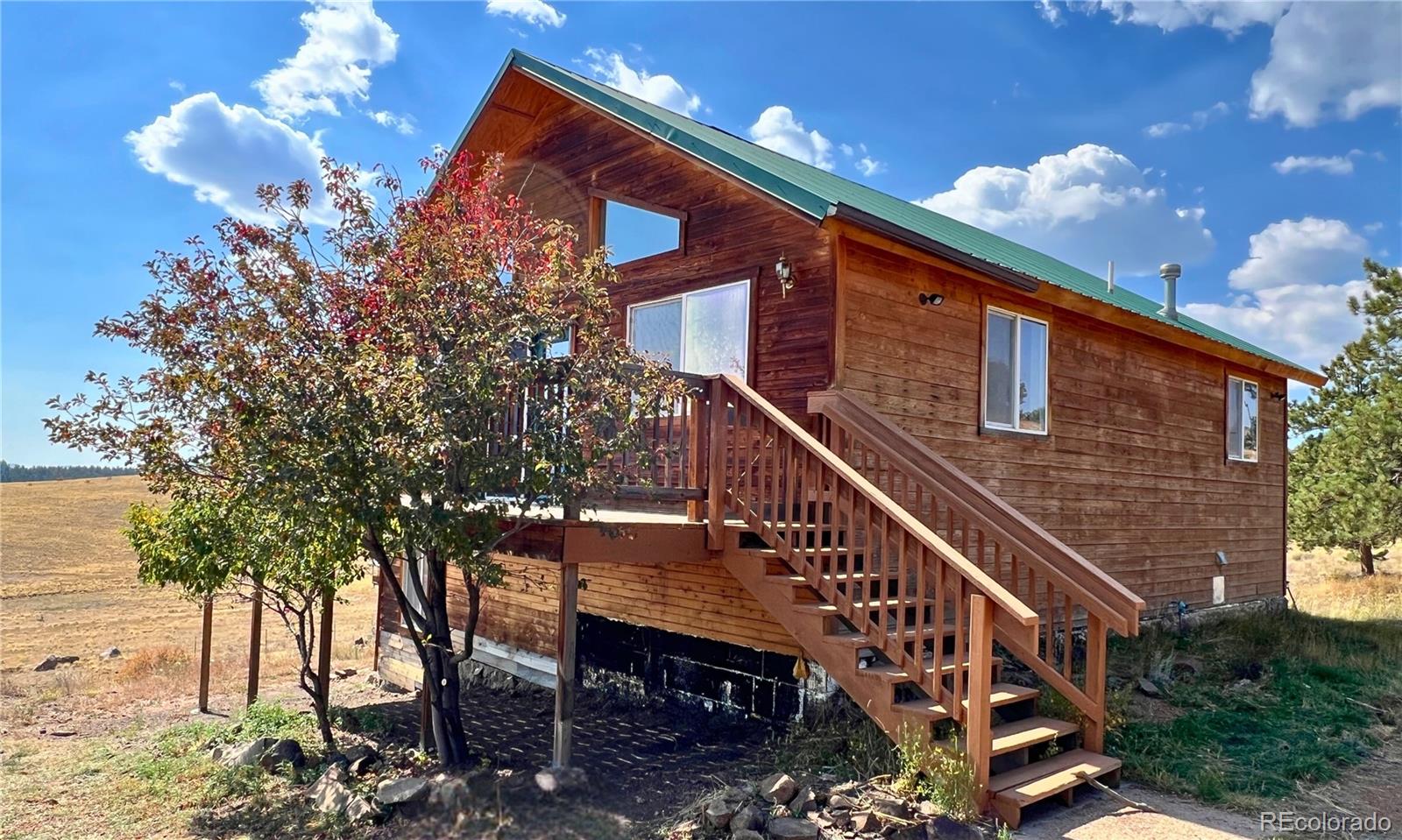 MLS Image #2 for 180 e cobb lane,guffey, Colorado