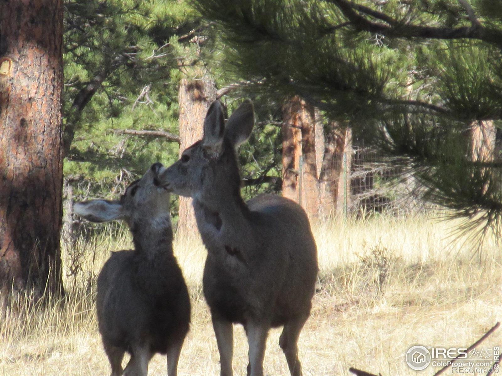 MLS Image #28 for 2392 w us highway 34 ,drake, Colorado