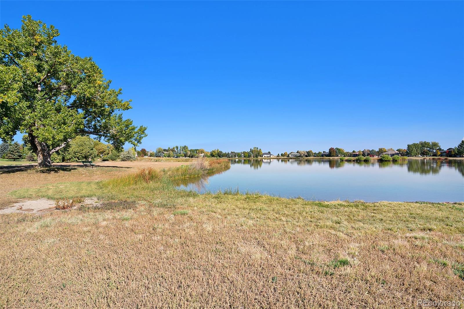 MLS Image #33 for 103  red wing court,mead, Colorado