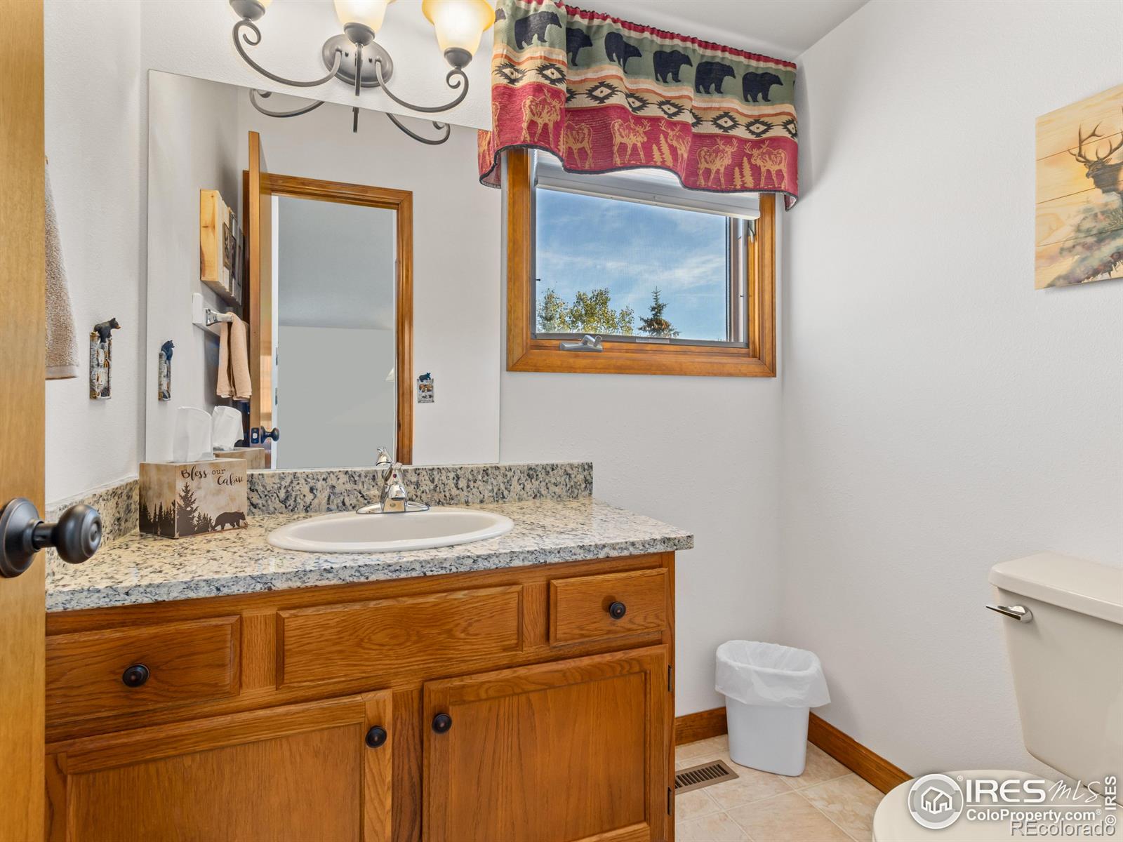 MLS Image #16 for 514  grand estates drive,estes park, Colorado