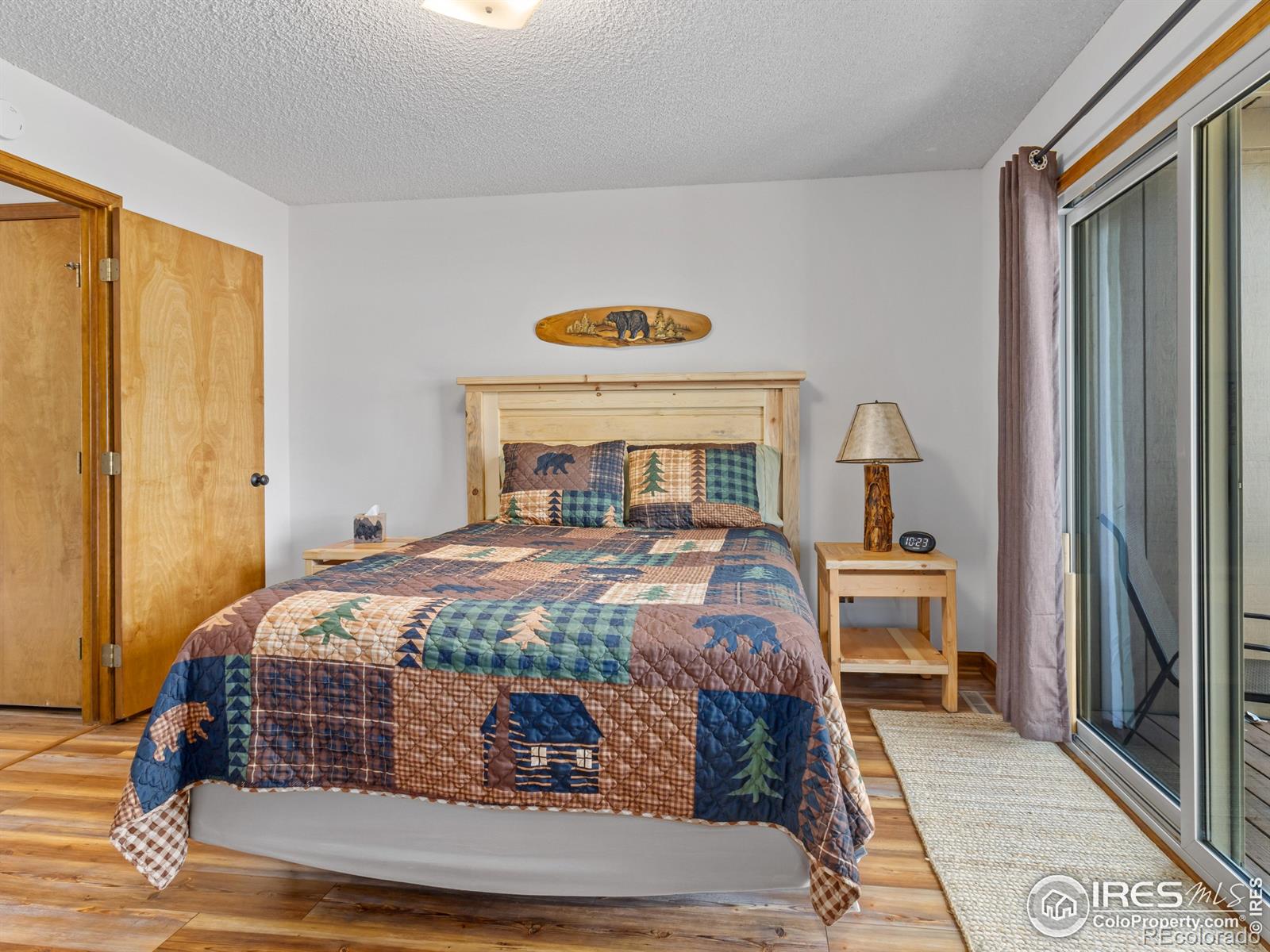 MLS Image #18 for 514  grand estates drive,estes park, Colorado