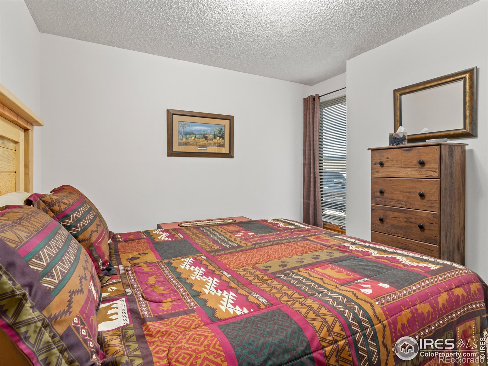 MLS Image #24 for 514  grand estates drive,estes park, Colorado