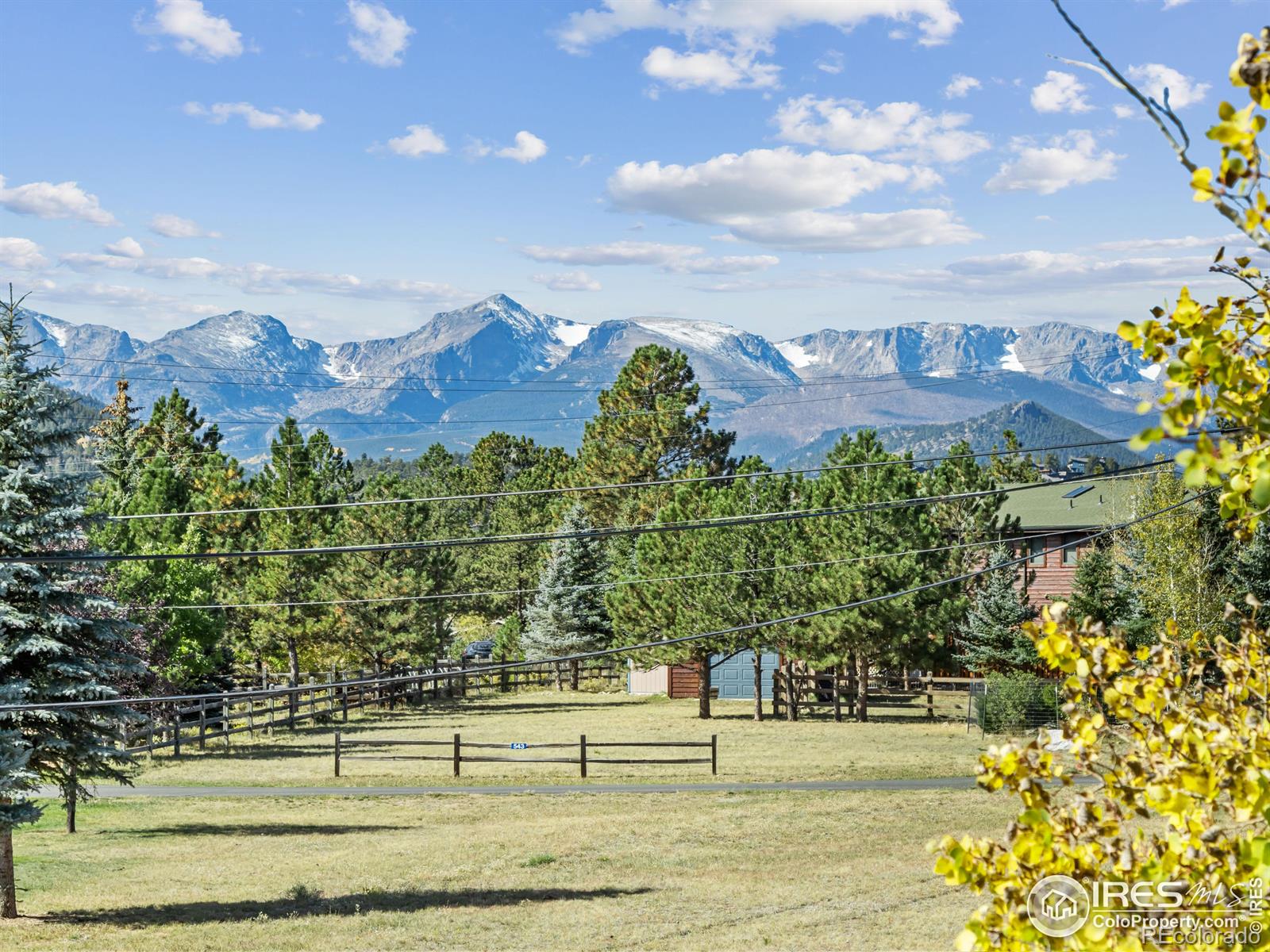 MLS Image #4 for 514  grand estates drive,estes park, Colorado