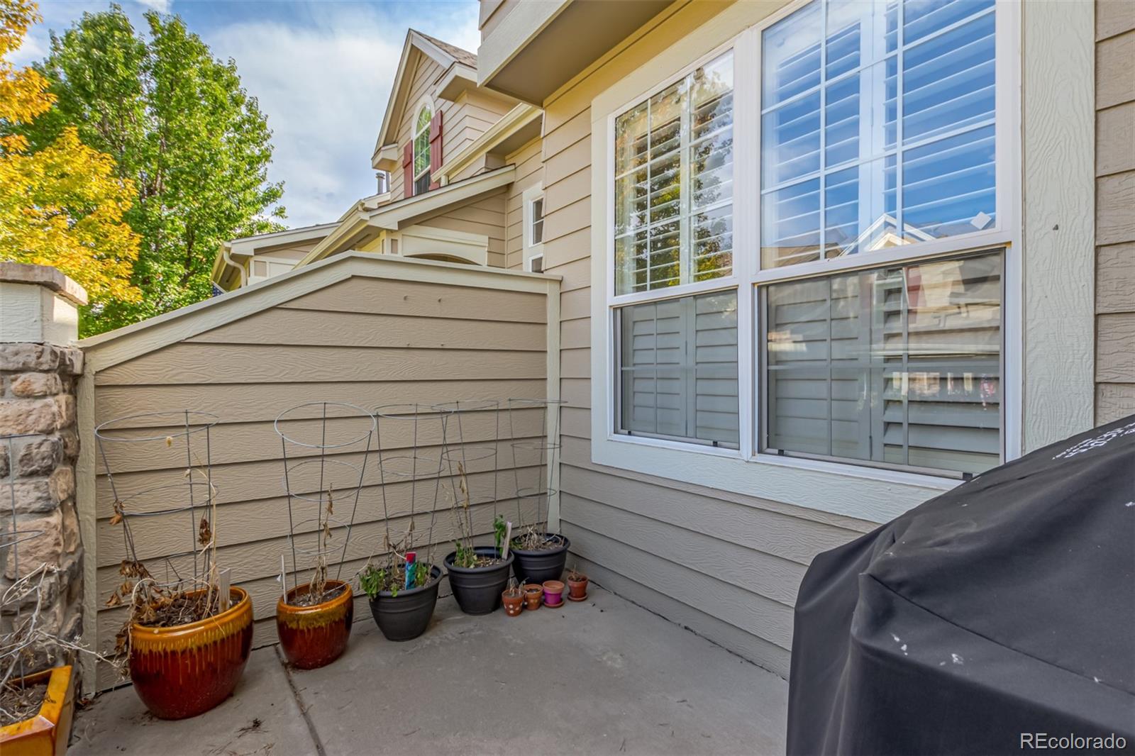 MLS Image #30 for 9502  silver spur lane,highlands ranch, Colorado