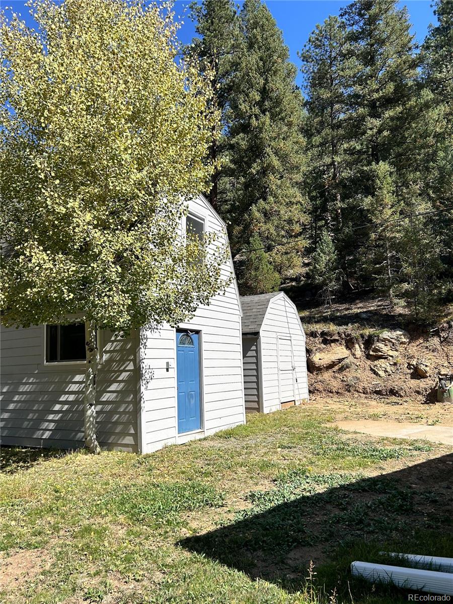 MLS Image #19 for 483  tonn valley,evergreen, Colorado