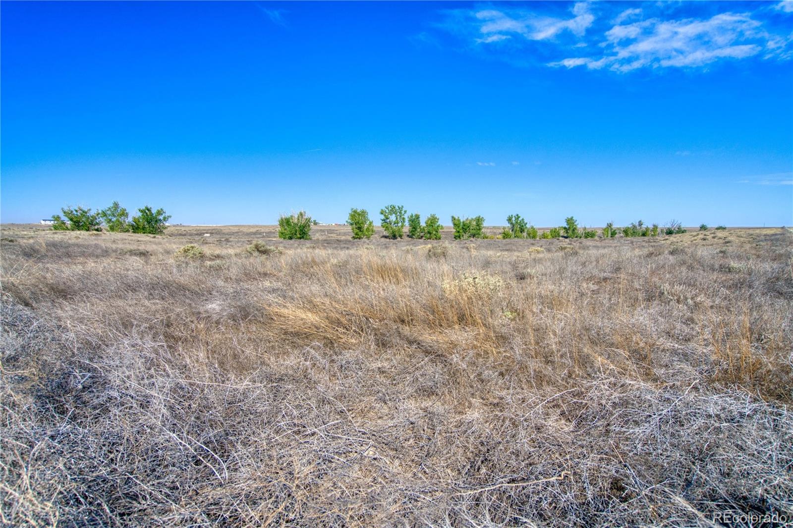 MLS Image #26 for 38502  county road 65 ,galeton, Colorado