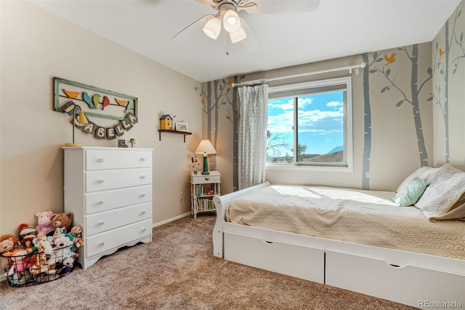 MLS Image #19 for 2125  wickes road,colorado springs, Colorado