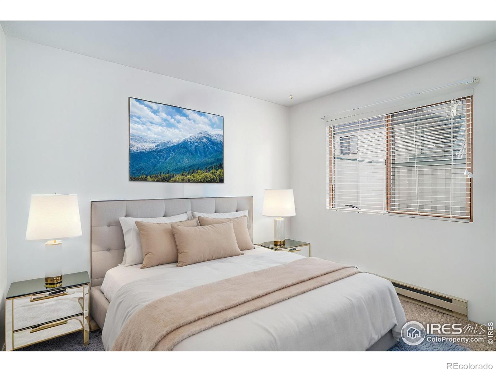 MLS Image #9 for 1010 s saint vrain avenue,estes park, Colorado