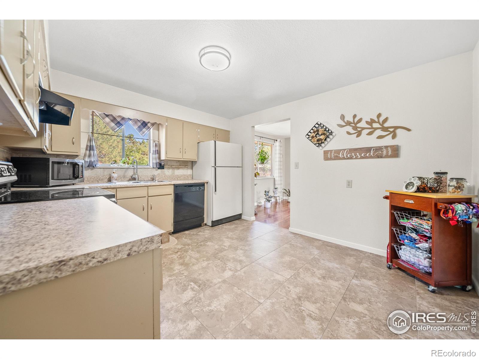 MLS Image #13 for 2028  buena vista court,greeley, Colorado