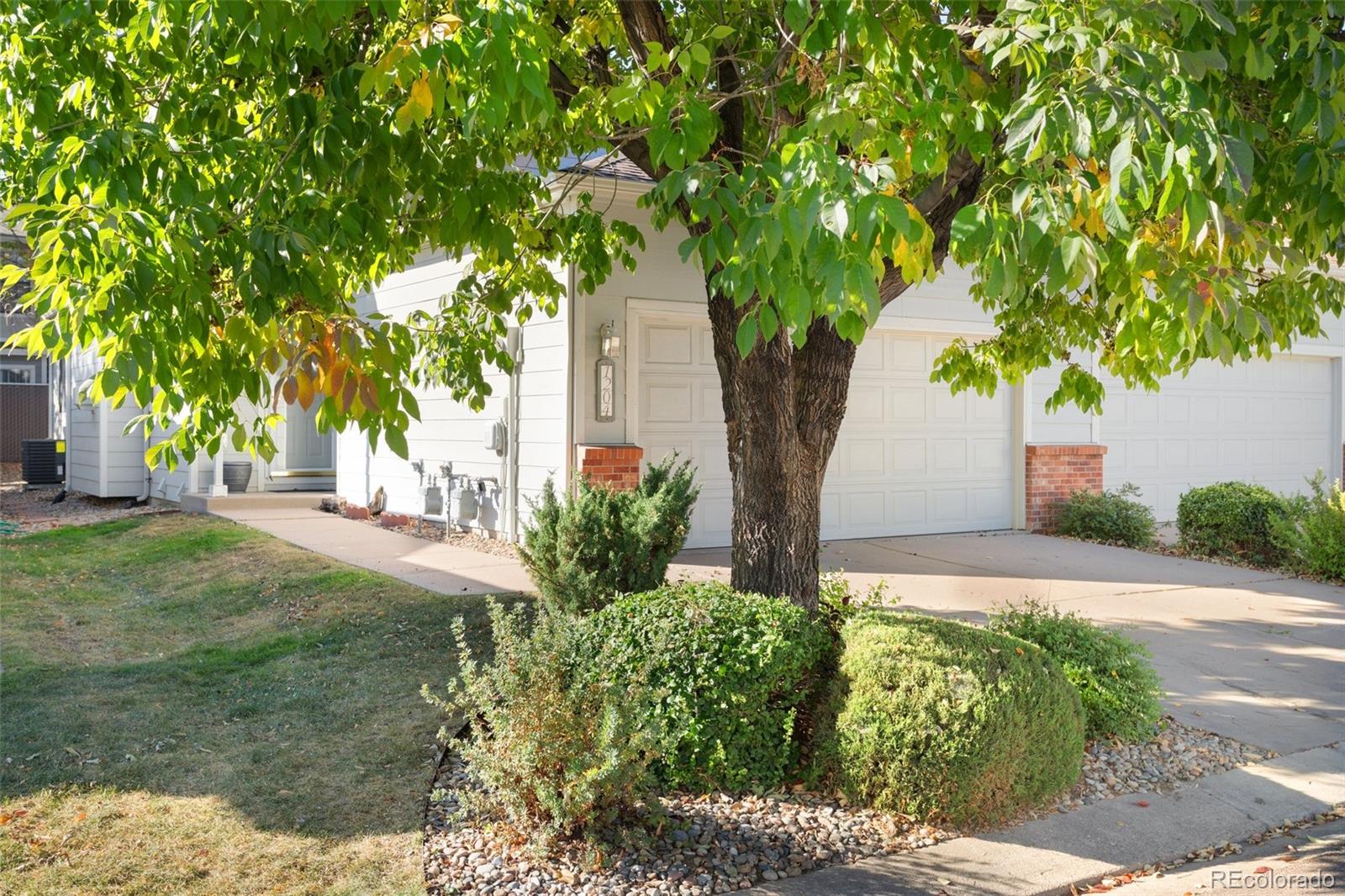 MLS Image #1 for 1204  samuel point,colorado springs, Colorado