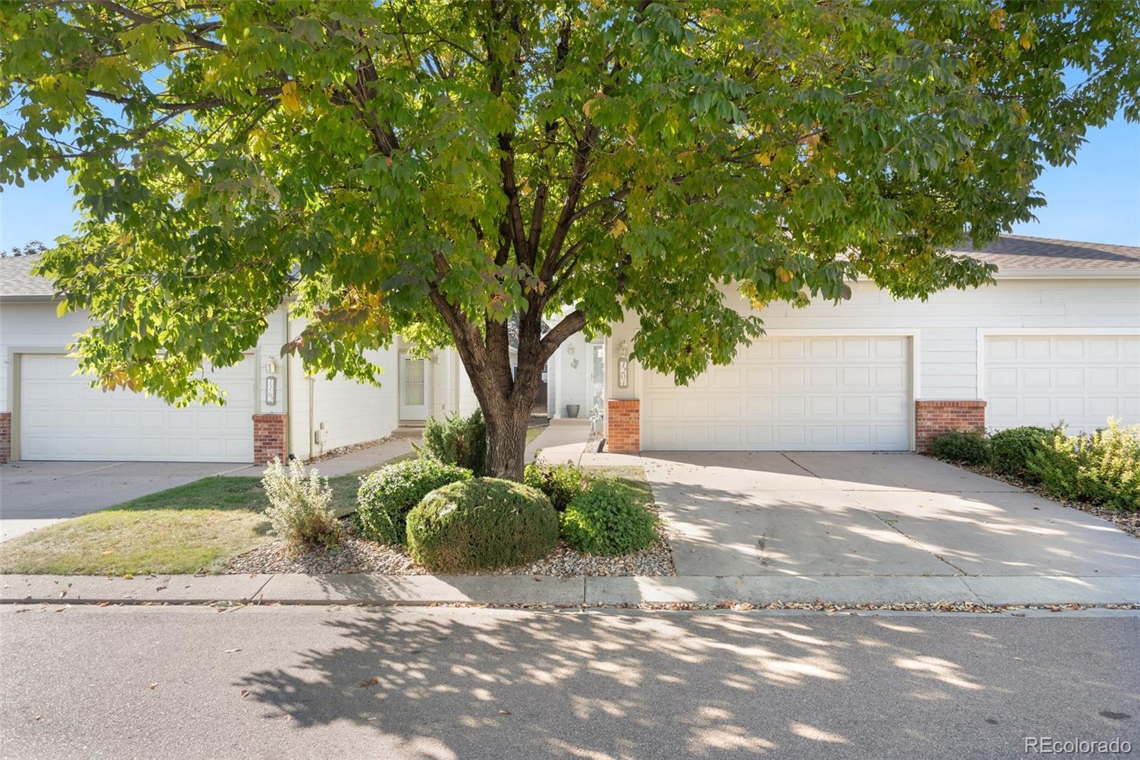 MLS Image #2 for 1204  samuel point,colorado springs, Colorado