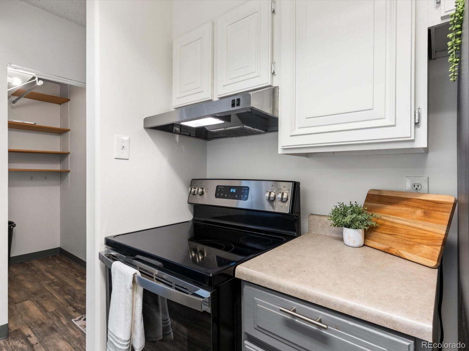 MLS Image #7 for 777 n washington street 1103,denver, Colorado