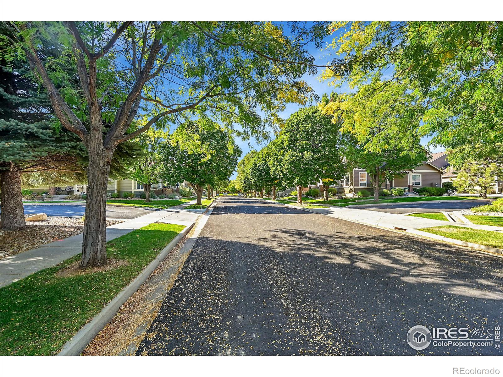 MLS Image #20 for 5145  corbett drive,fort collins, Colorado