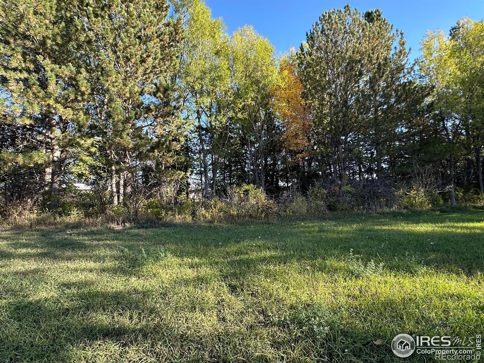 MLS Image #6 for 5506  bitterbush way,loveland, Colorado