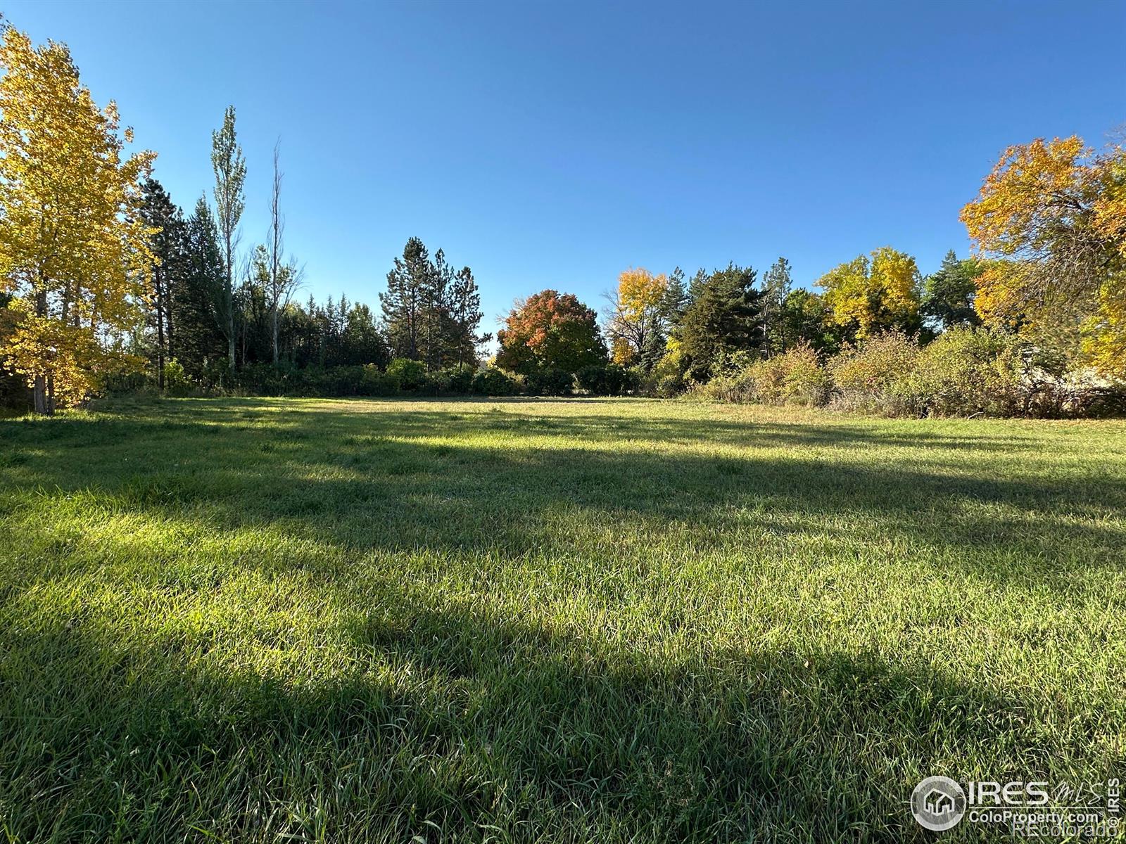 MLS Image #7 for 5506  bitterbush way,loveland, Colorado