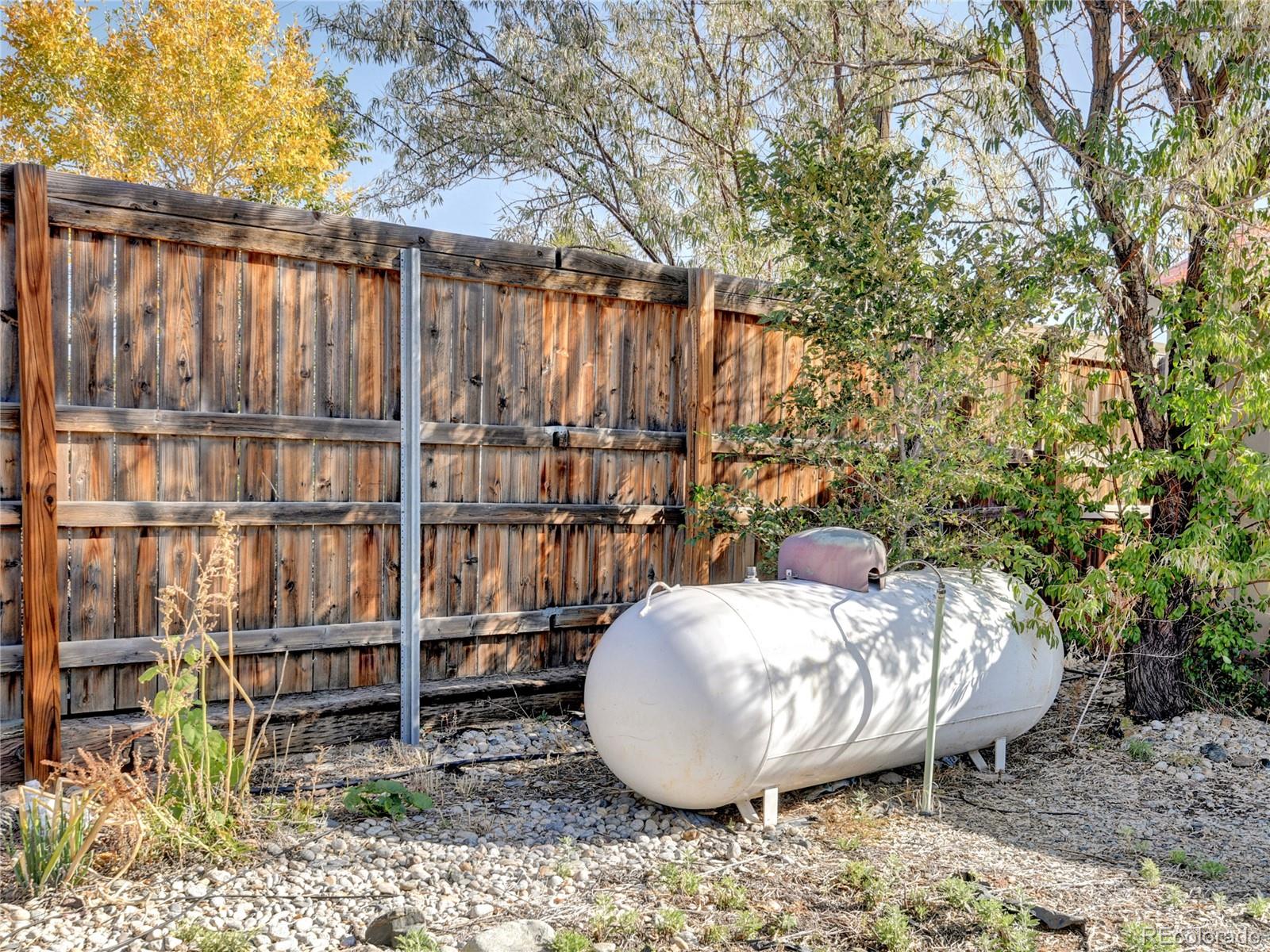 MLS Image #3 for 516  narcisso avenue,fort garland, Colorado