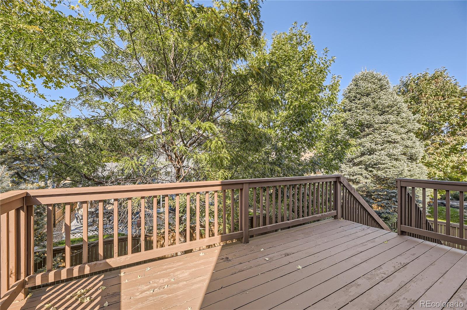 MLS Image #22 for 2205  ashwood place,highlands ranch, Colorado