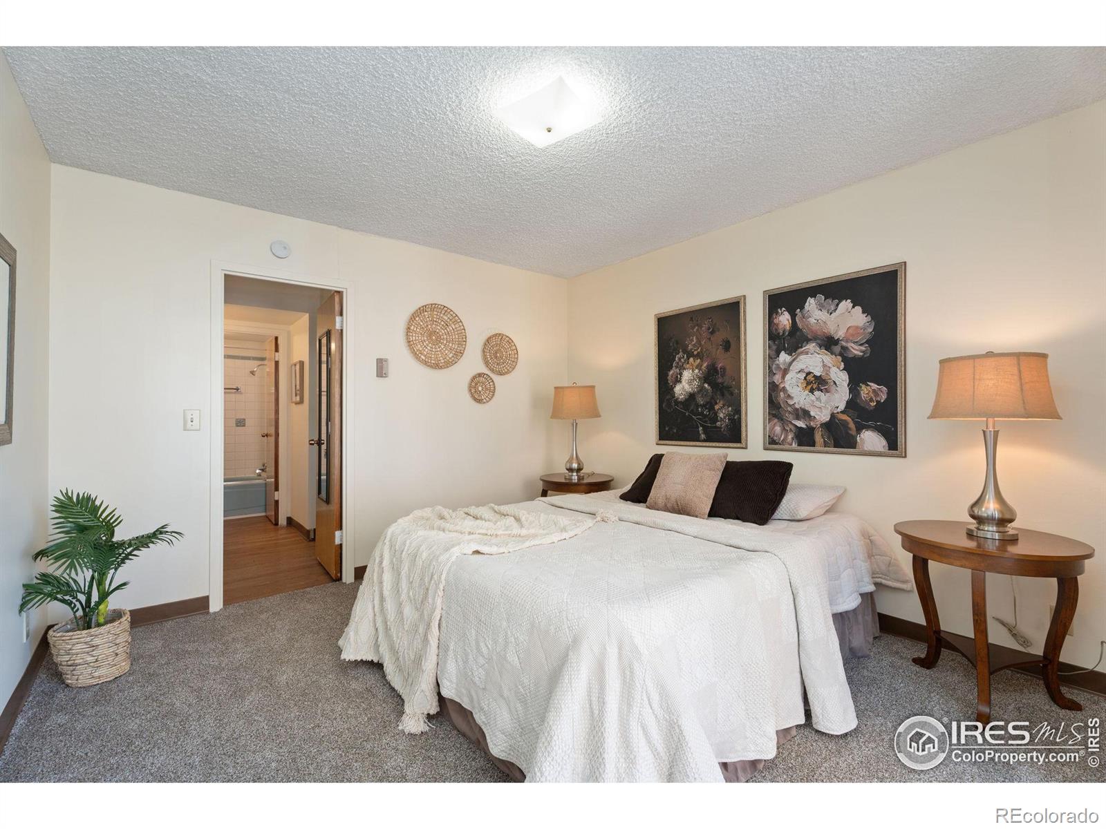 MLS Image #27 for 421 s howes street,fort collins, Colorado