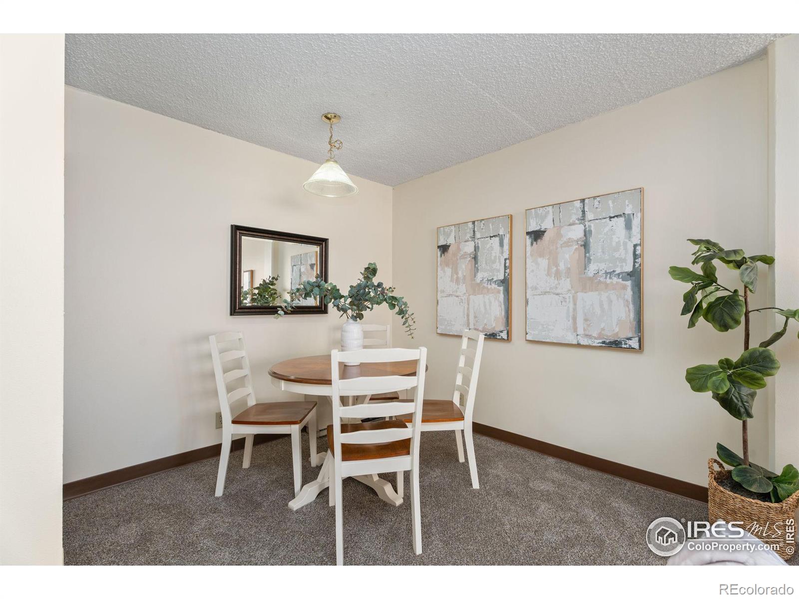 MLS Image #8 for 421 s howes street,fort collins, Colorado