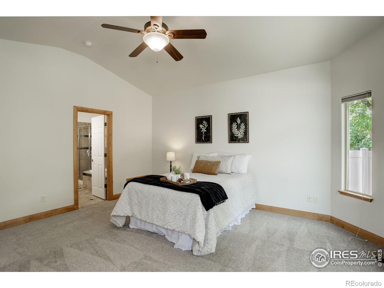 MLS Image #18 for 1089  norway maple drive,loveland, Colorado