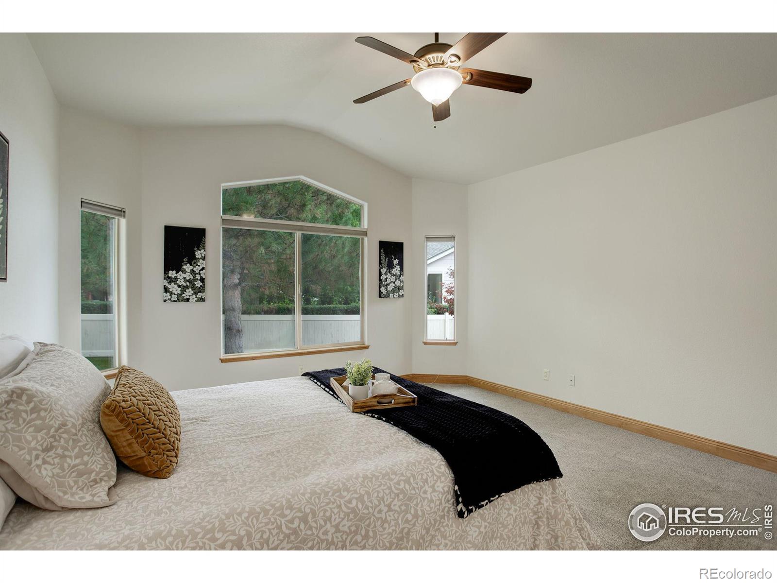 MLS Image #19 for 1089  norway maple drive,loveland, Colorado