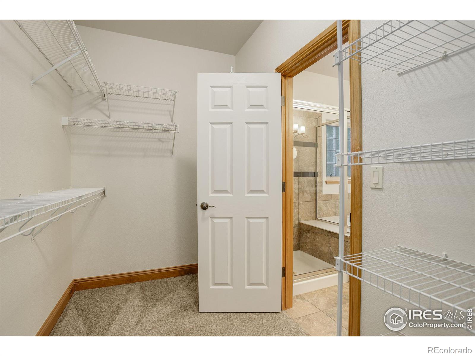 MLS Image #23 for 1089  norway maple drive,loveland, Colorado