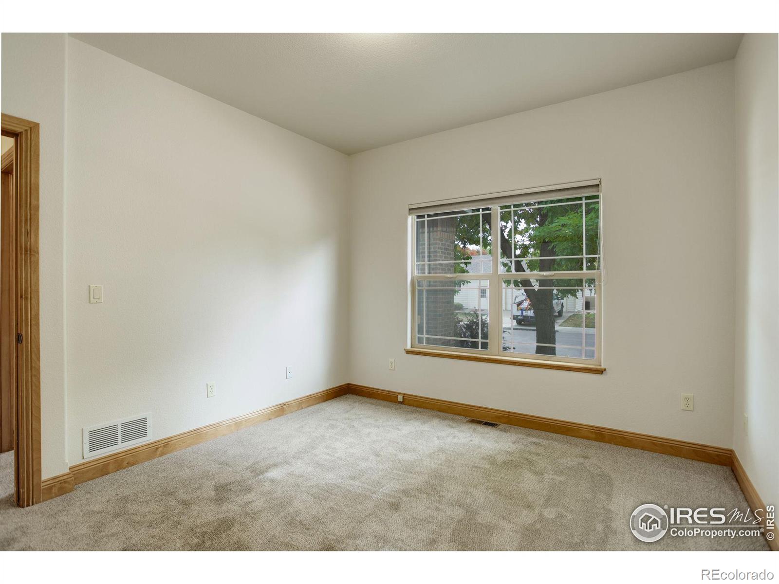 MLS Image #24 for 1089  norway maple drive,loveland, Colorado