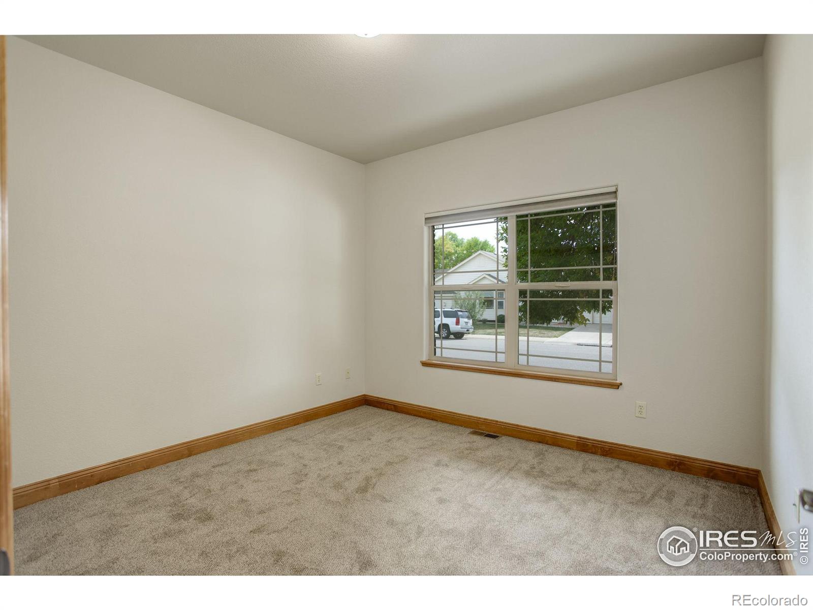 MLS Image #27 for 1089  norway maple drive,loveland, Colorado