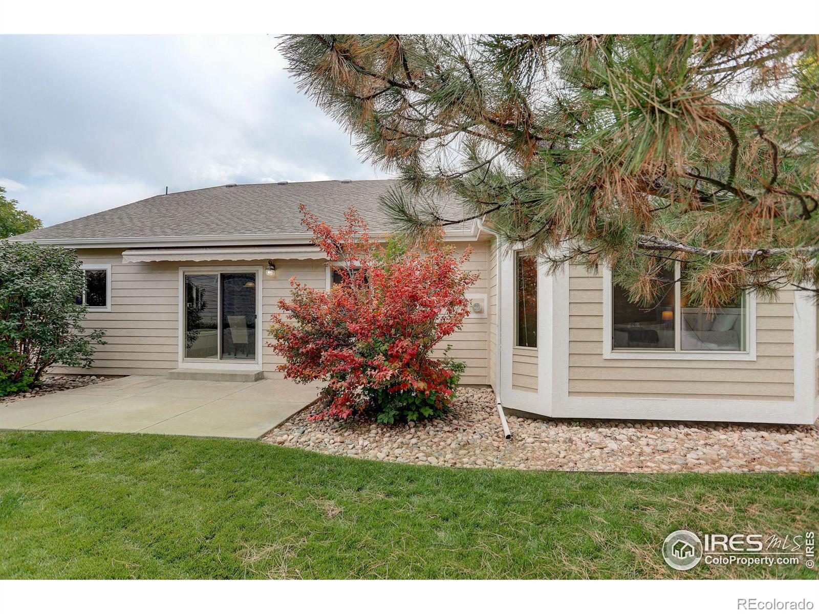 MLS Image #29 for 1089  norway maple drive,loveland, Colorado