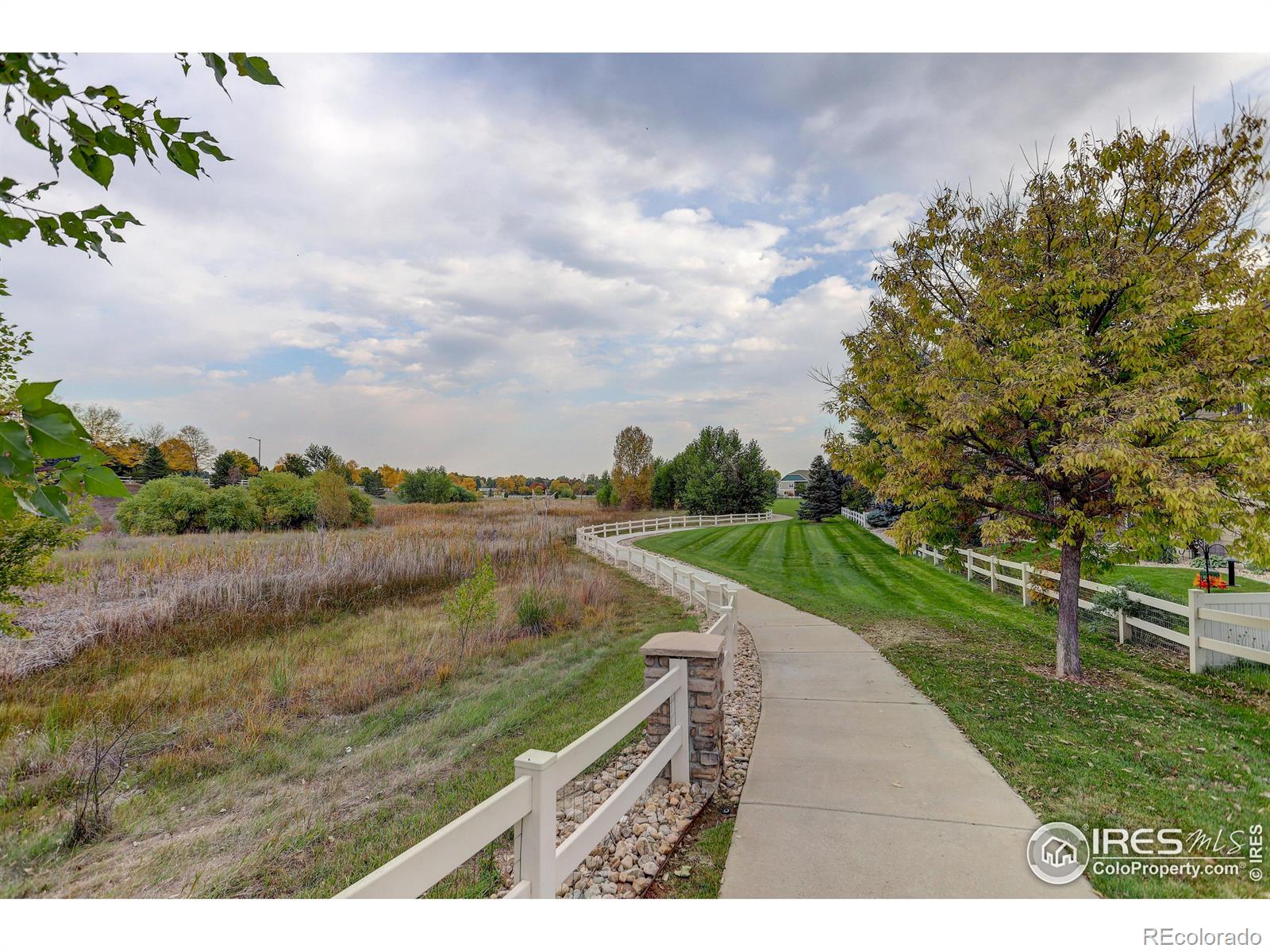 MLS Image #39 for 1089  norway maple drive,loveland, Colorado