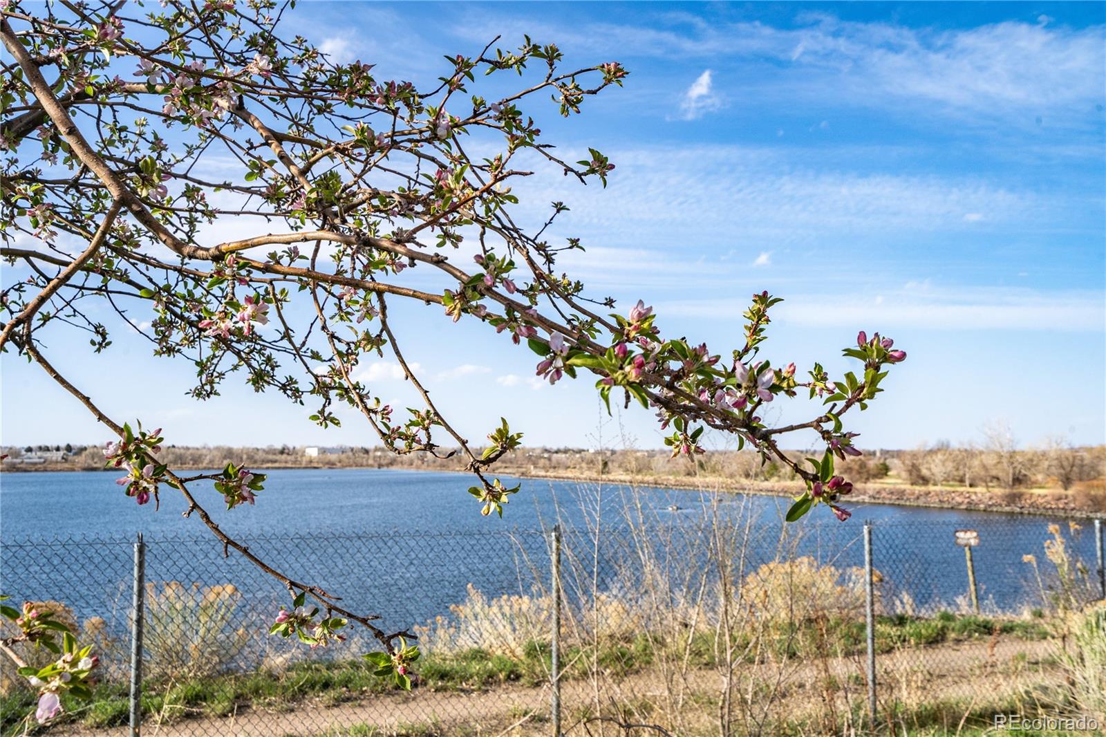 MLS Image #45 for 1777  quail street,lakewood, Colorado