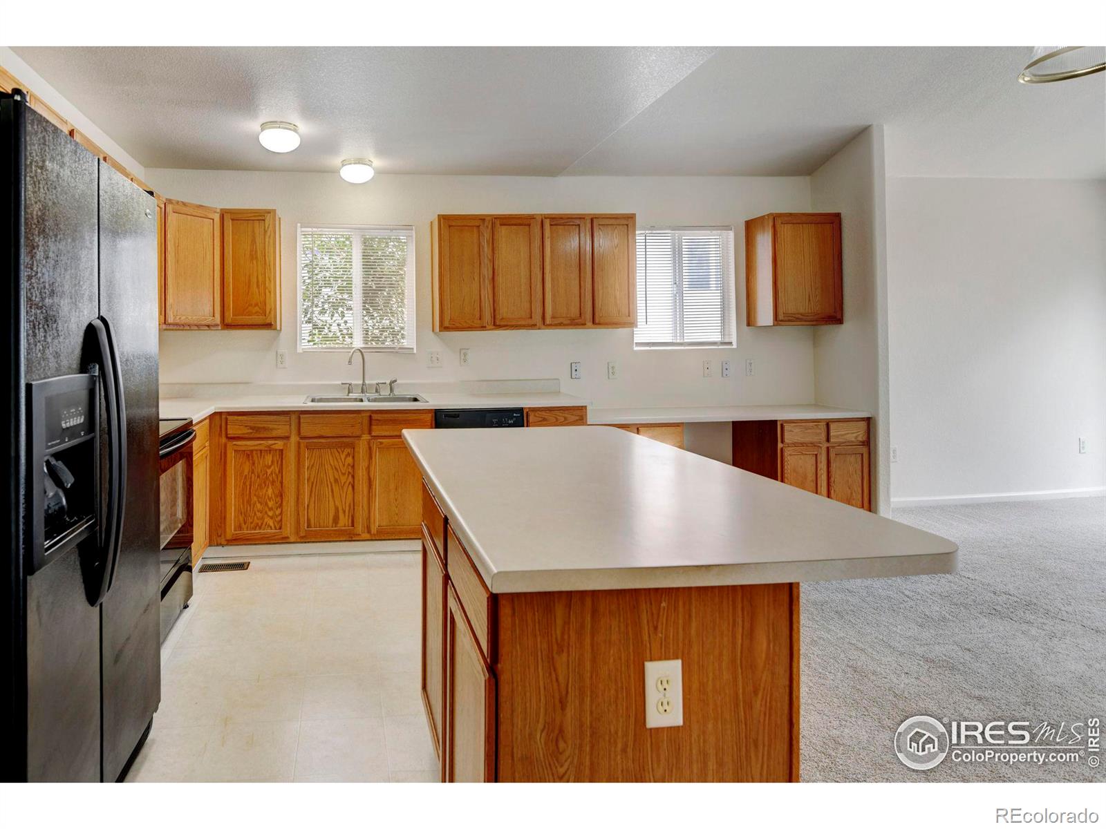 MLS Image #14 for 470  grey swallow street,brighton, Colorado