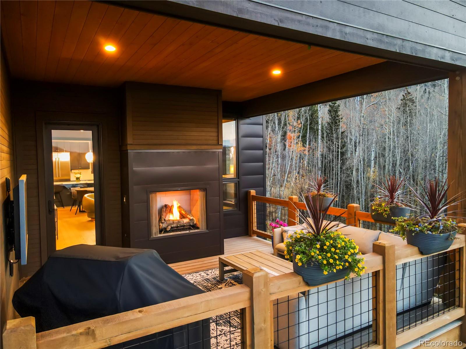 MLS Image #3 for 90  glazer trail,silverthorne, Colorado