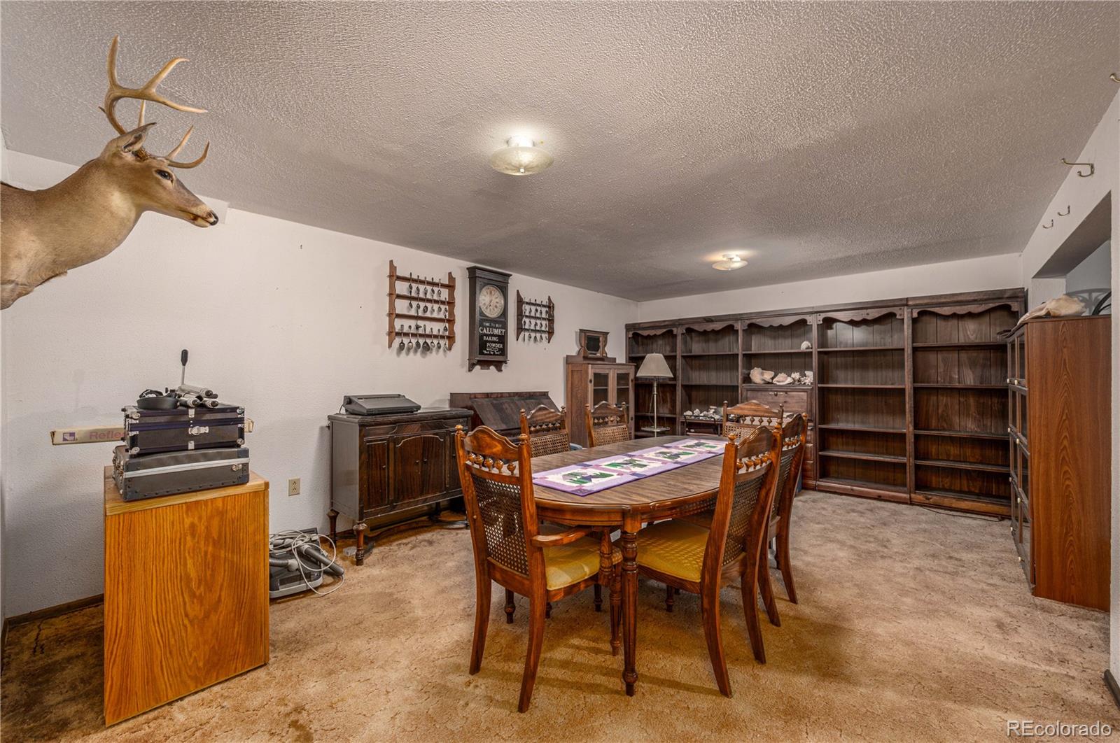 MLS Image #20 for 13440  county rd 45 ,coaldale, Colorado