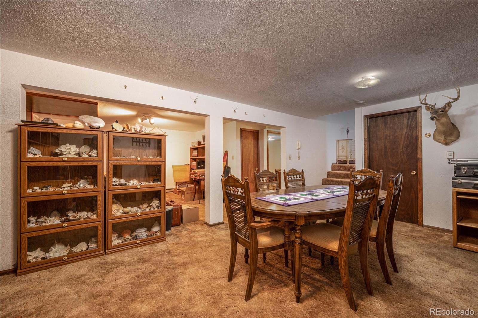 MLS Image #21 for 13440  county rd 45 ,coaldale, Colorado