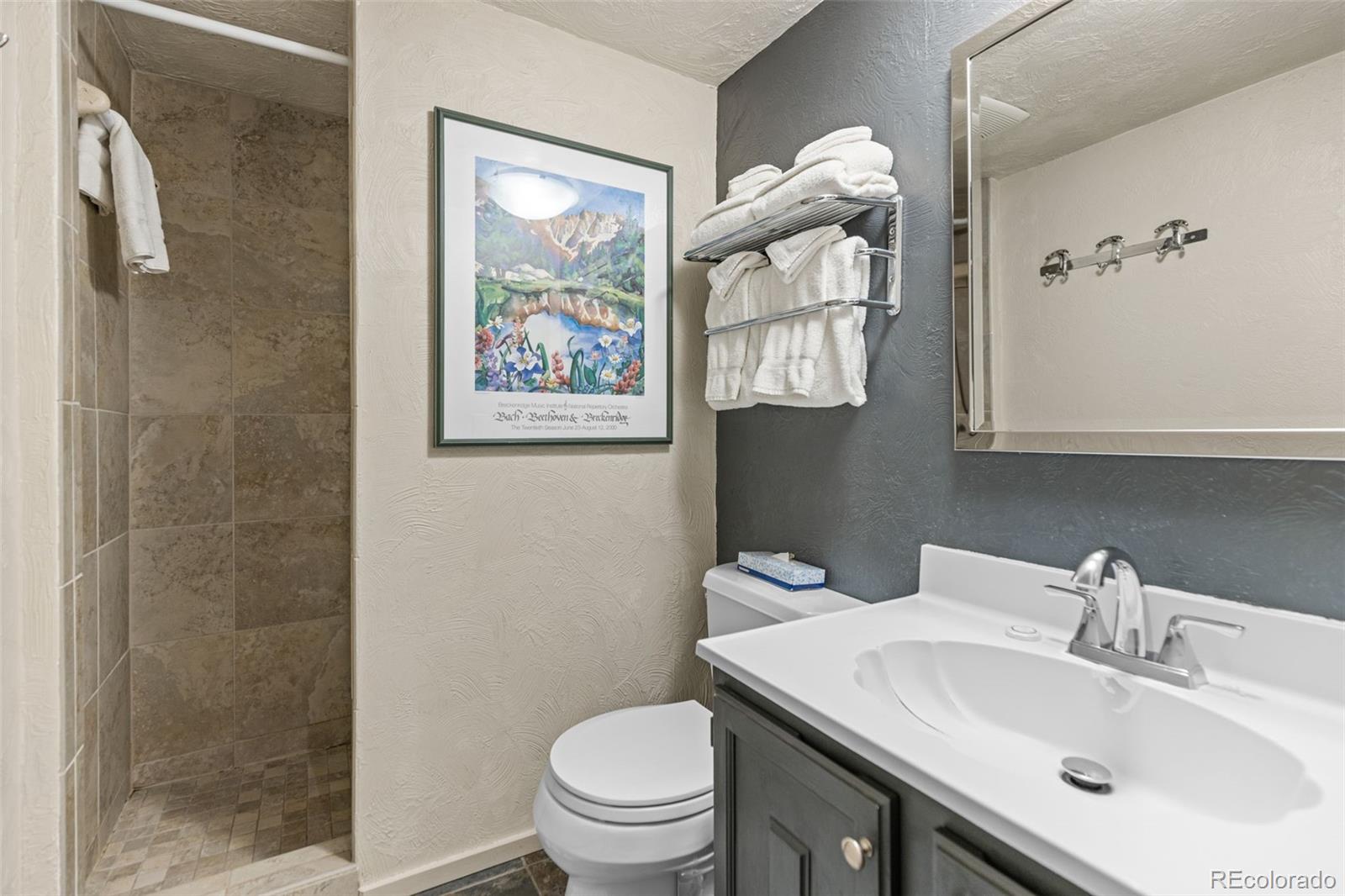 MLS Image #21 for 465  four o clock road,breckenridge, Colorado