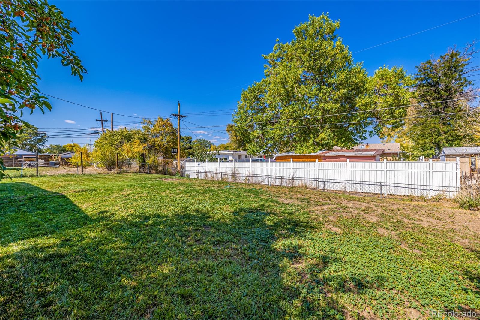 MLS Image #44 for 1621  hopkins drive,denver, Colorado