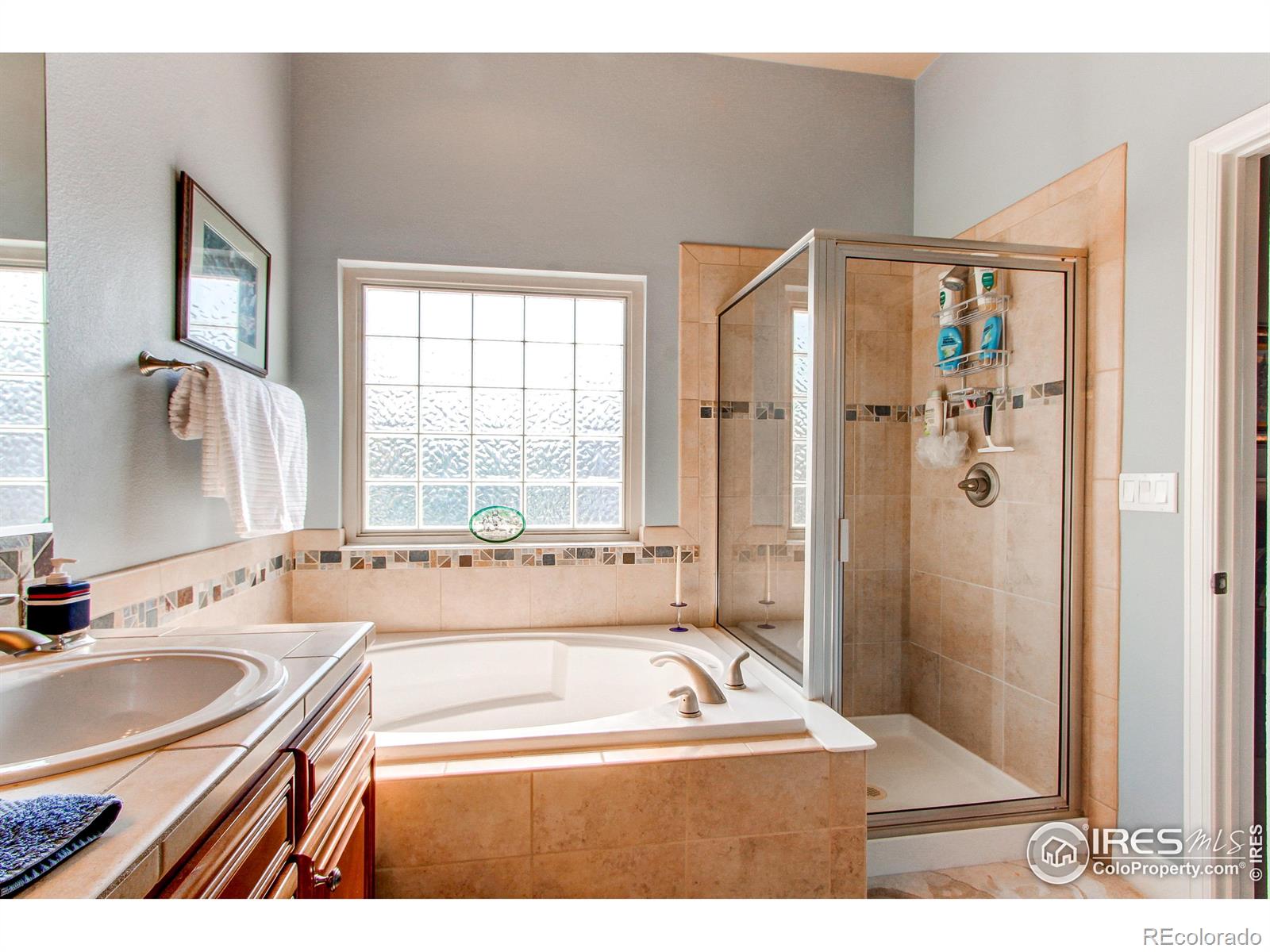 MLS Image #10 for 8238  hidden cove court,windsor, Colorado