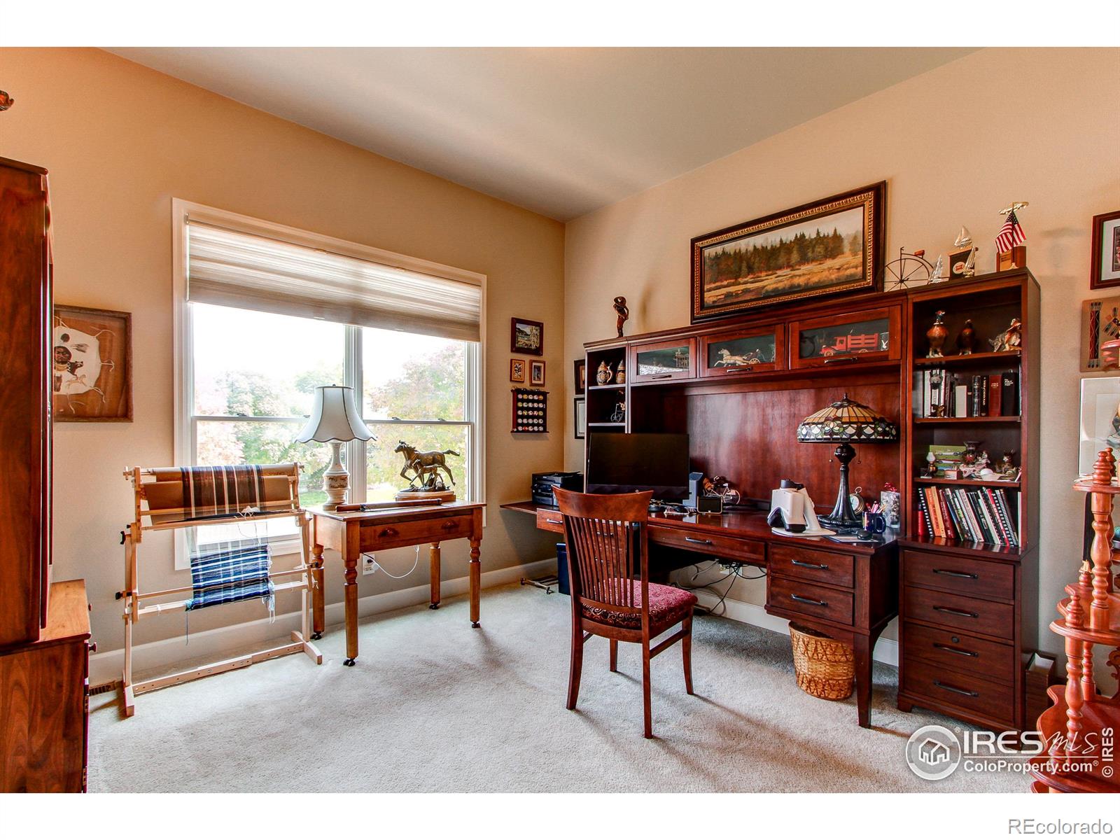 MLS Image #16 for 8238  hidden cove court,windsor, Colorado