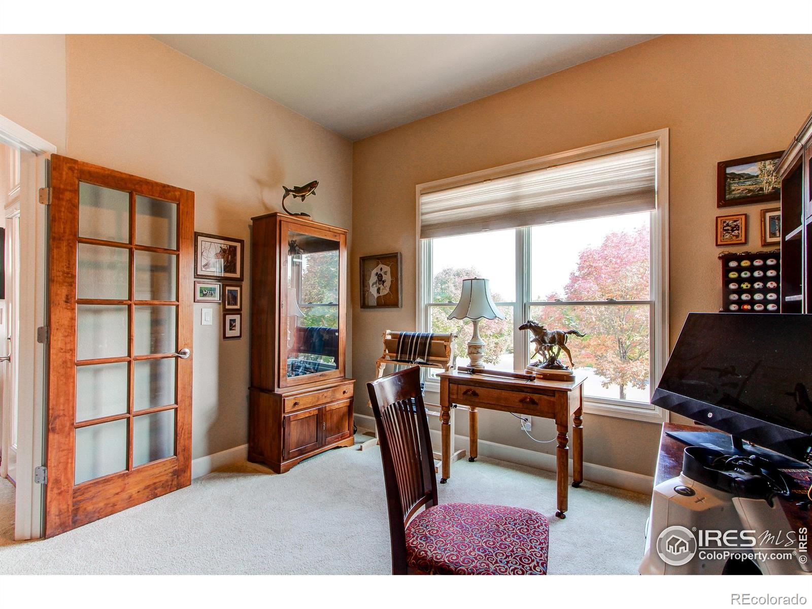 MLS Image #17 for 8238  hidden cove court,windsor, Colorado