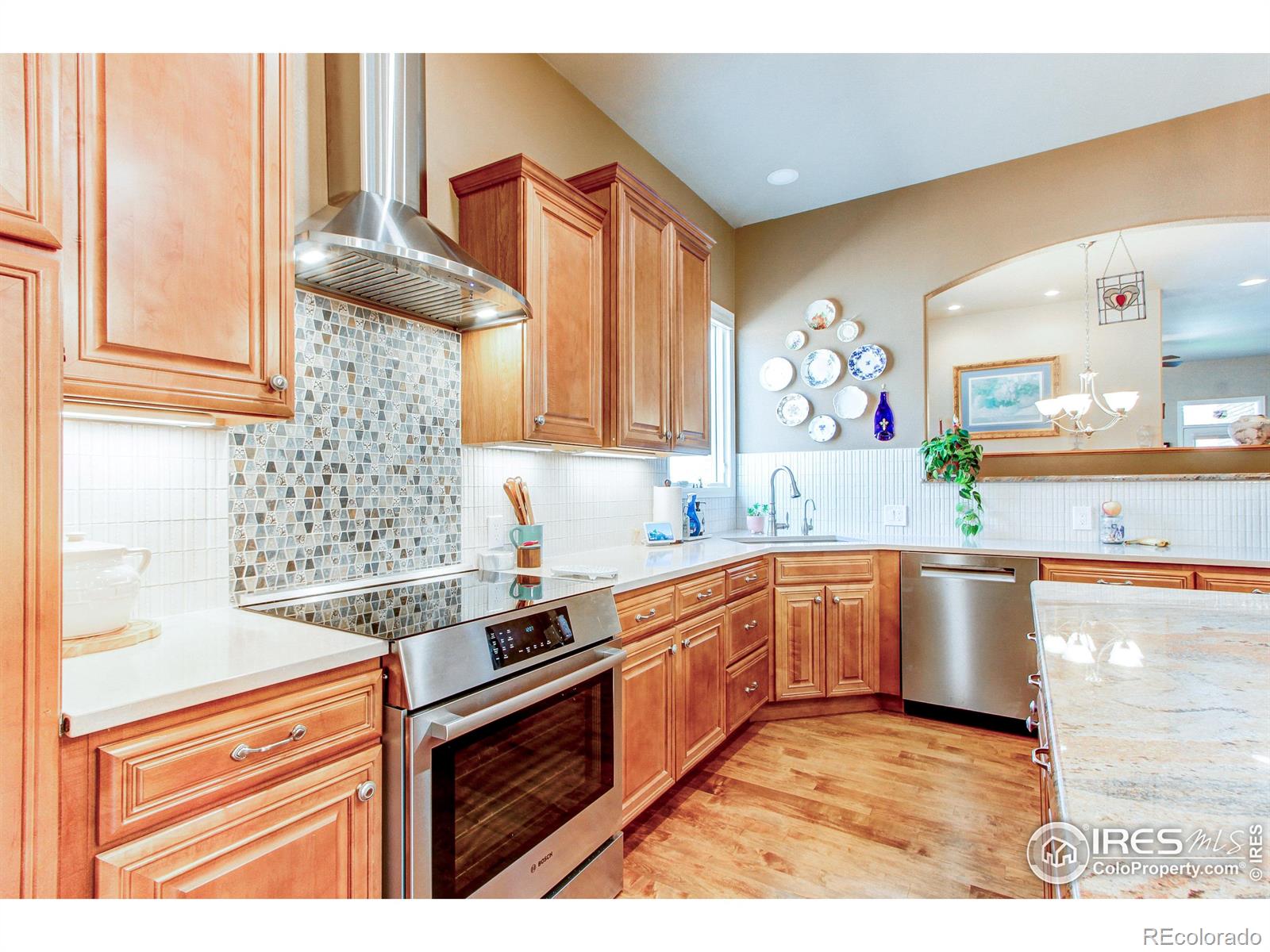 MLS Image #3 for 8238  hidden cove court,windsor, Colorado